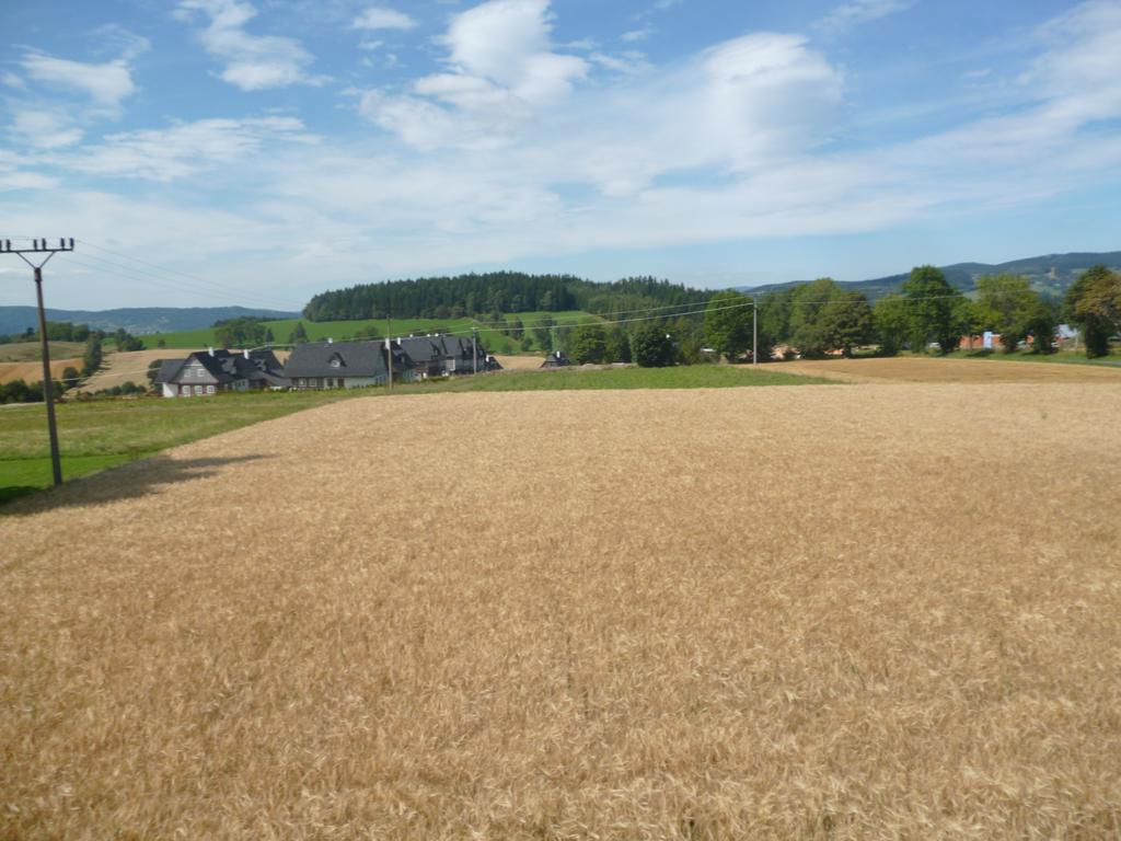 Pension Pugner Vysoké nad Jizerou Exterior foto